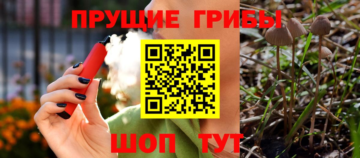 Вышний Волочёк  Псилоцибиновые грибы Psilocybe  Вход с VPN 